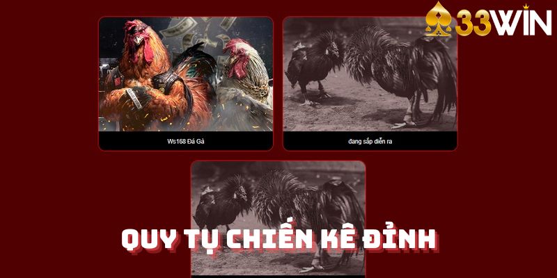 Nhiều chiến kê đỉnh