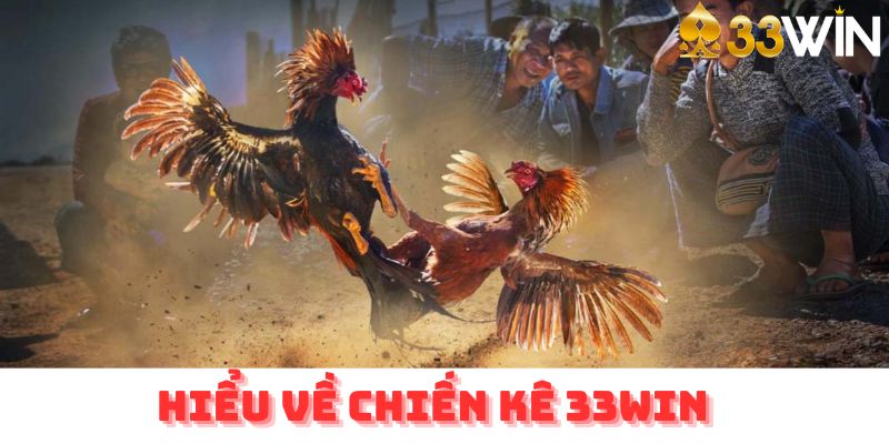 Hiểu về chiến kê