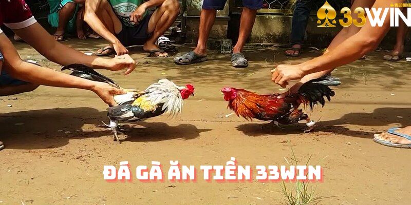 Đá gà ăn tiền 33Win