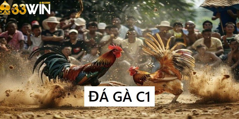 Đá gà c1 33Win