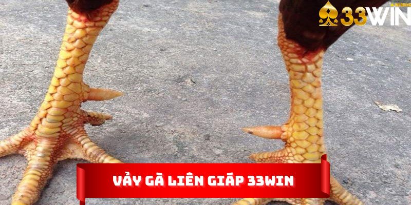 Vảy gà liên giáp 333Win